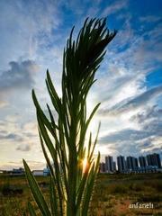 P1250099-2.jpg