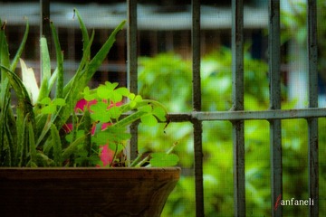 P1240757-2.jpg