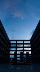 P1260359-3.jpg