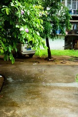 P1260181-2.jpg