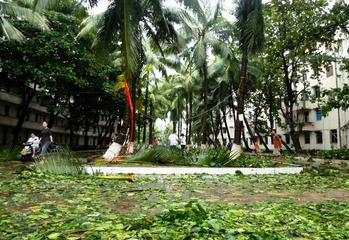P1080722-2.jpg
