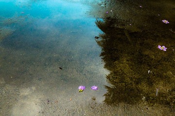 P1260866-2.jpg