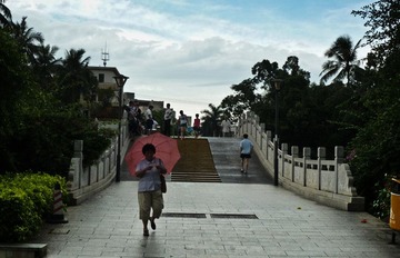 P1260956-2.jpg