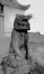P1260935-5.jpg