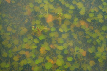 P1270134-2.jpg