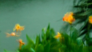 P1260996-2.jpg