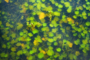 P1270134-4.jpg