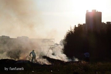 P1220980-2.jpg