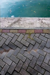 P1270234-2.jpg