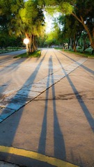 P1270211-2.jpg