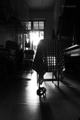 P1270140-2.jpg