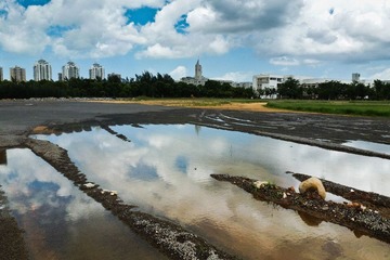 P1090077-2.jpg