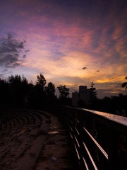 P1270497-2.jpg