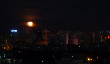 P1270791-2.jpg