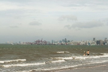P1070234-2.jpg