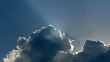 P1270882-2.jpg