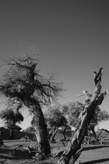 DSC03255.JPG