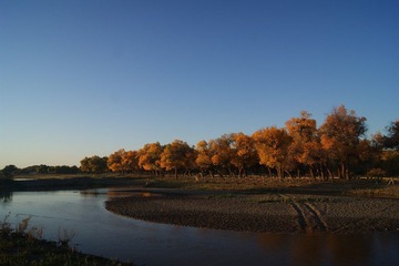 DSC03607.JPG