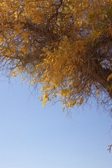 DSC03125.JPG