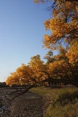 DSC03371.JPG