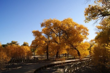 DSC03408.JPG
