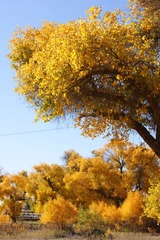 DSC03412.JPG