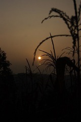 DSC03705.JPG