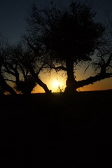DSC03294.JPG