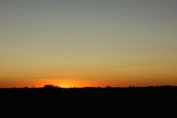 DSC03317.JPG