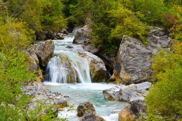 DSC_2685.jpg