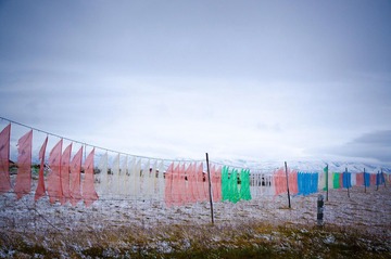 DSC_2832.jpg