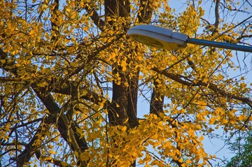 DSC_4372.jpg
