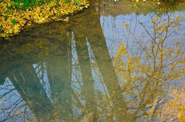 DSC_4387.jpg
