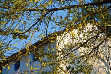 DSC_4399.jpg