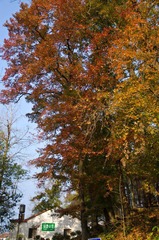 DSC_4510.jpg