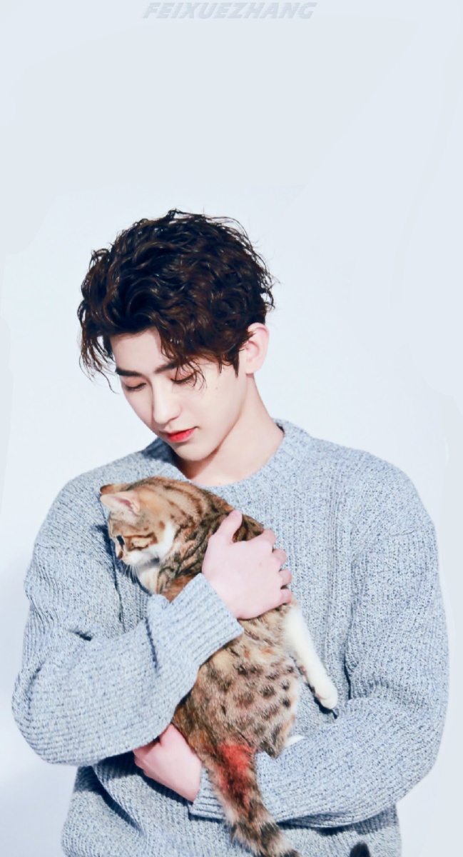 猫咪男孩蔡徐坤壁纸
