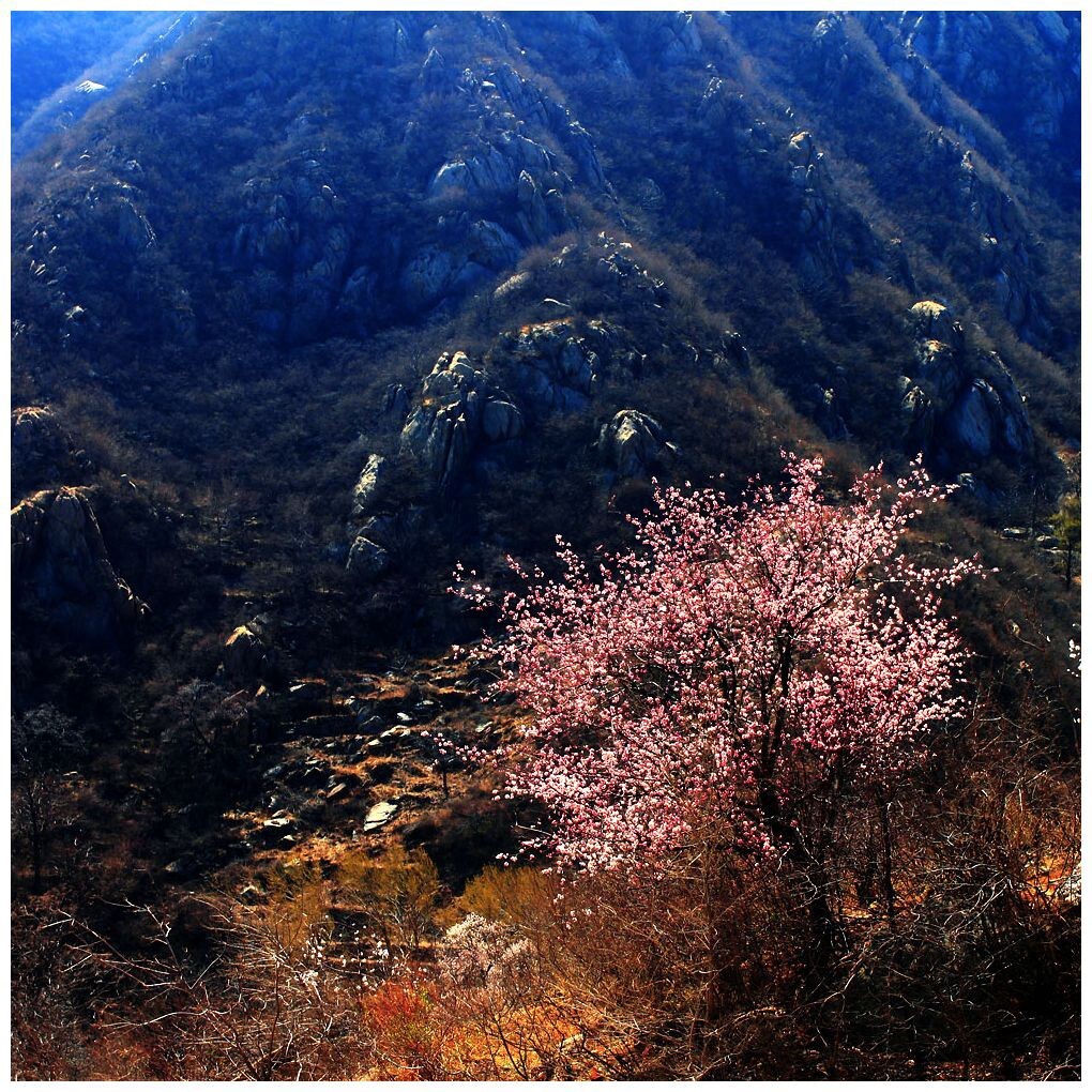2016棋盘山