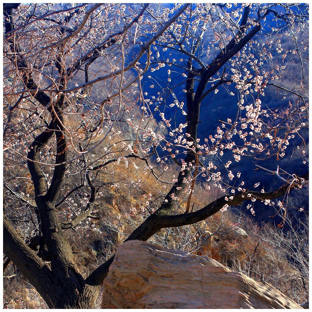 2016棋盘山