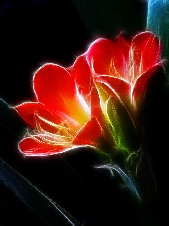 花非花<br />
