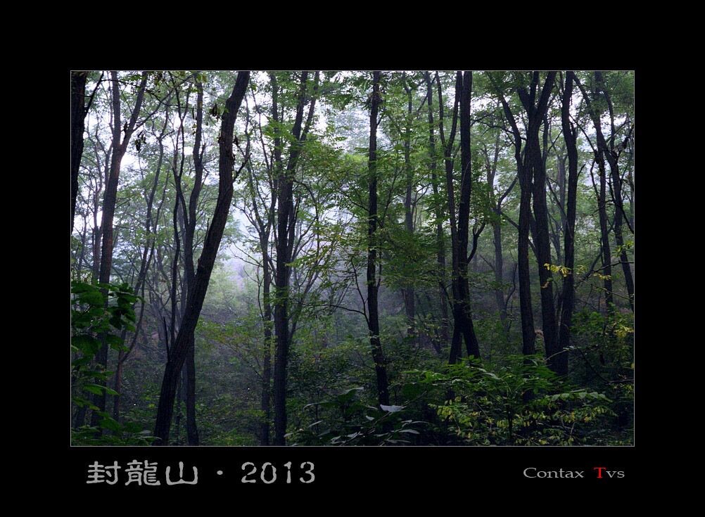 封龙山 2013