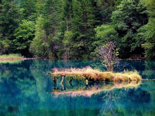 ok_IMG_2175-www.jpg