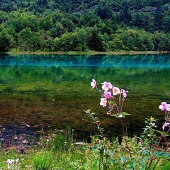 ok_IMG_2184-www.jpg