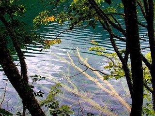 ok_IMG_2124-www.jpg