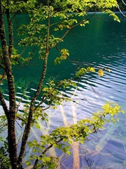 ok_IMG_2125-www.jpg