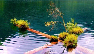 ok_IMG_2126-www.jpg