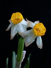 s-ok_DSCN1252.JPG