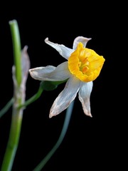 s-ok_DSCN1259.JPG