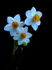 s-DSCN2279.JPG