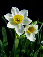 s-IMG_0485.JPG
