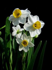 s-IMG_0490.JPG